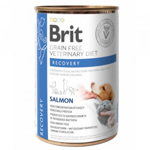 BRIT VETERINARY DIET DOG CAT RECOVERY konservi suņiem, kaķiem 400g